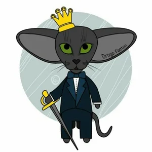 قطط أورينتال صغيرة FAETON