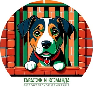 तारासिक और टीम © आधिकारिक