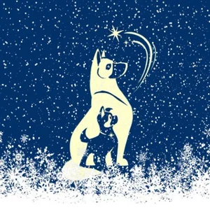 باشگاه سگ‌های خدماتی بازنشسته ستاره