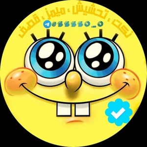 Jokes, Memes & Roasts