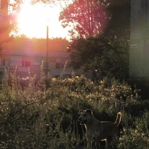 в горловке не любят💔