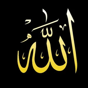 بيع وإيجار معدات ثقيله