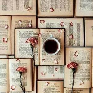 Metinler, Düşünceler, Alıntılar, Kitap Resimleri