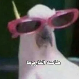 Savol-javob xabardorlik