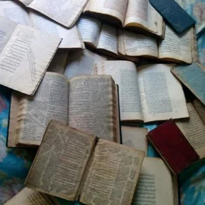 Takween Alim Projesi Yayınları