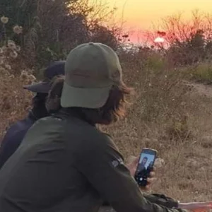 خیمه اعرابی